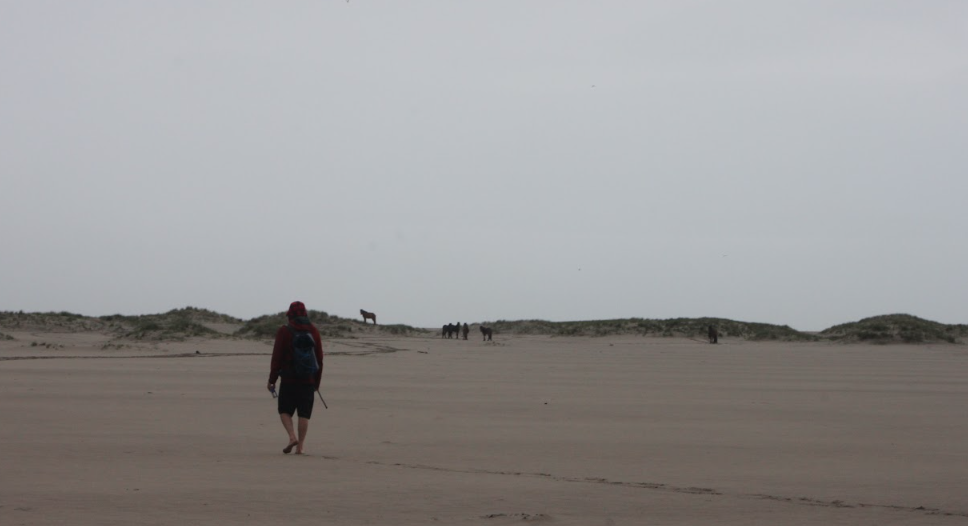 Sable Island beach walk