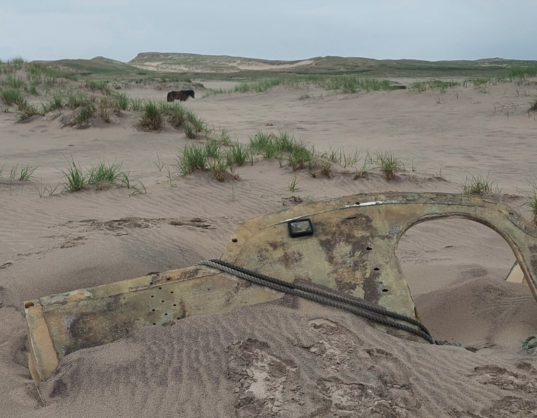 Shipwreck on Sable Island